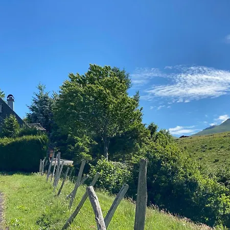 Peaceful And Comfortable With Valley View